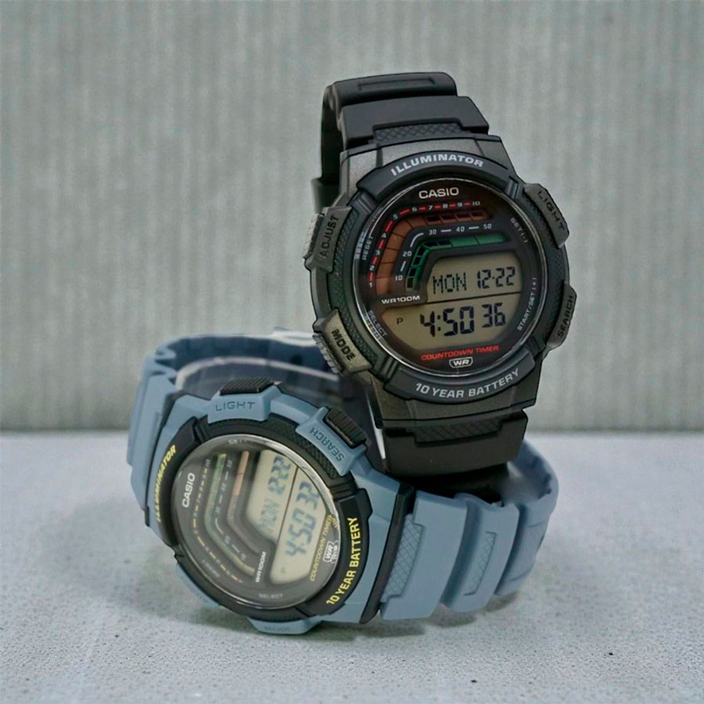 Мужские наручные часы Casio WS-1800-2A