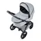 Коляска ANEX l/type 2 в 1 (lt-10t) frost + Аксесcуары