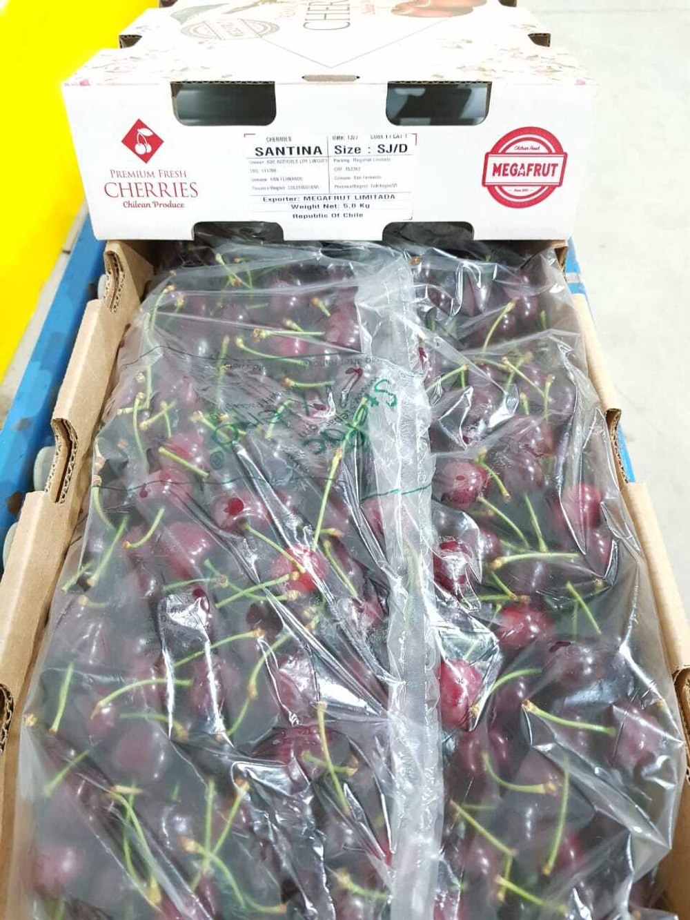 черешня чилийская сорт Bing, lapins ,Van.