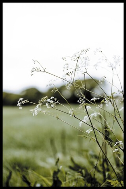 Интерьерная картина в технике цифровой печати. АРТ 097 Природа