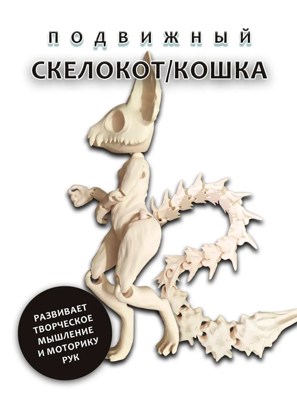 Скелет Кошки