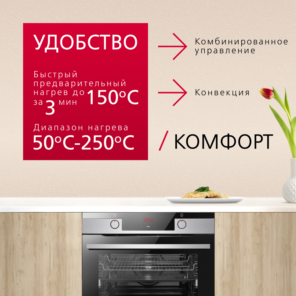 Духовой шкаф Hansa BakingPro BOEI684097