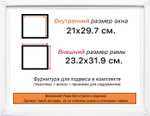 Рама 21x29,7 для картин и фотографий RP0180256-09