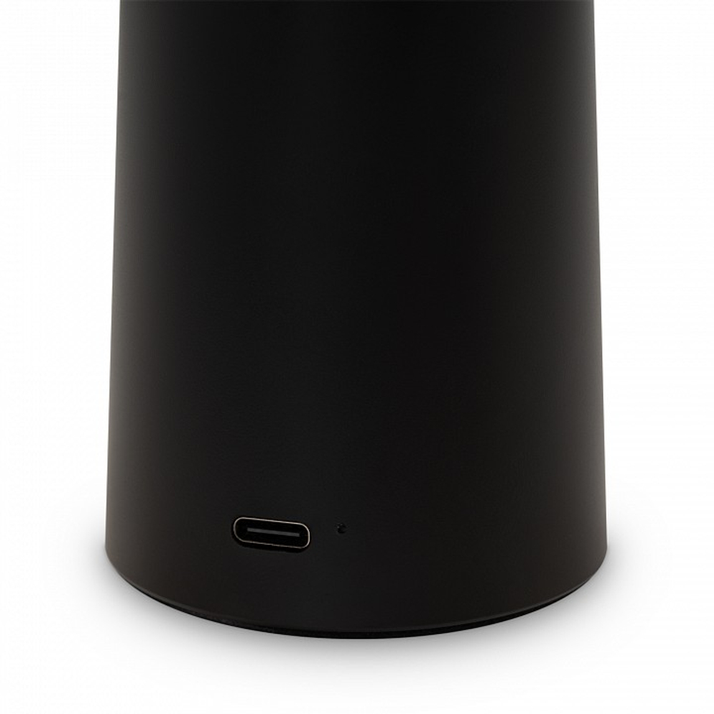 Настольная лампа декоративная Freya Mushroom FR6109TL-L4B