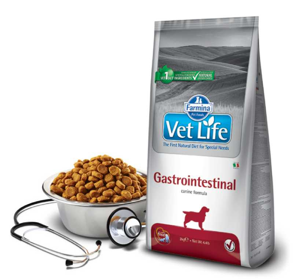 Сухой корм FARMINA Vet Life Gastrointestinal для взрослых собак всех пород при нарушениях работы ЖКТ - 12 кг