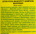 Шток-роза Мажоретт шампань махровая СМЦ-918