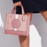 Сумка COACH Dempsey 22 Tote, C8417-IMP1X