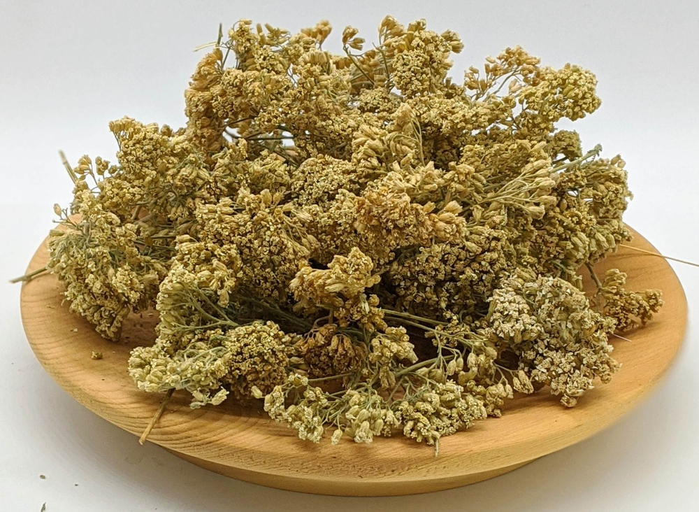 Тысячелистник обыкновенный (цвет)