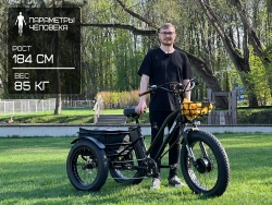 Электровелосипед Minako Trike