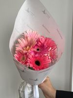 Кулек из гербер в розовом оттенке 7 шт