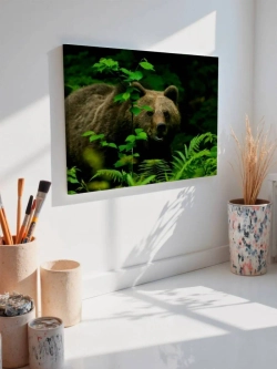 Картина на стену 40 X 50 Медведь