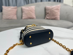 Christian Dior Small C'est Dior Bag