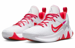 Кроссовки Nike Giannis Immortality