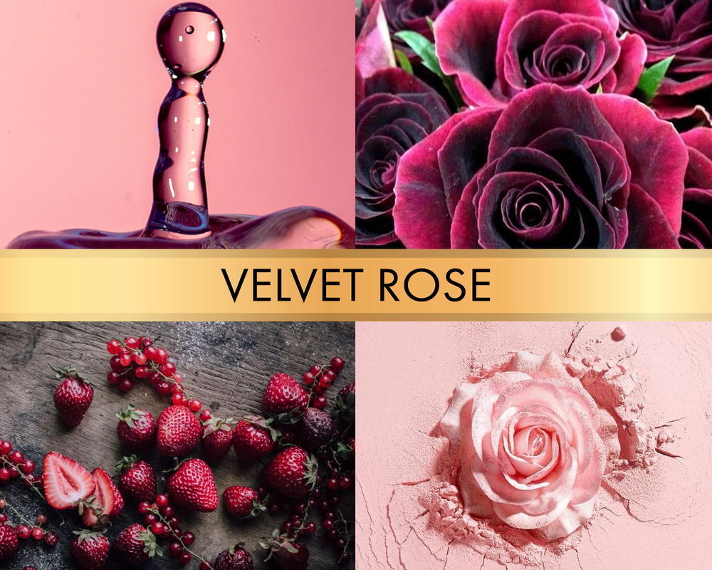 Velvet rose (Бархатная роза)