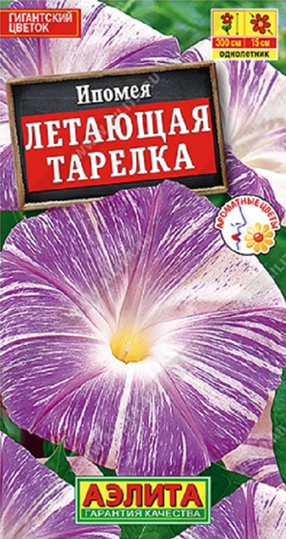 Ипомея Летающая тарелка