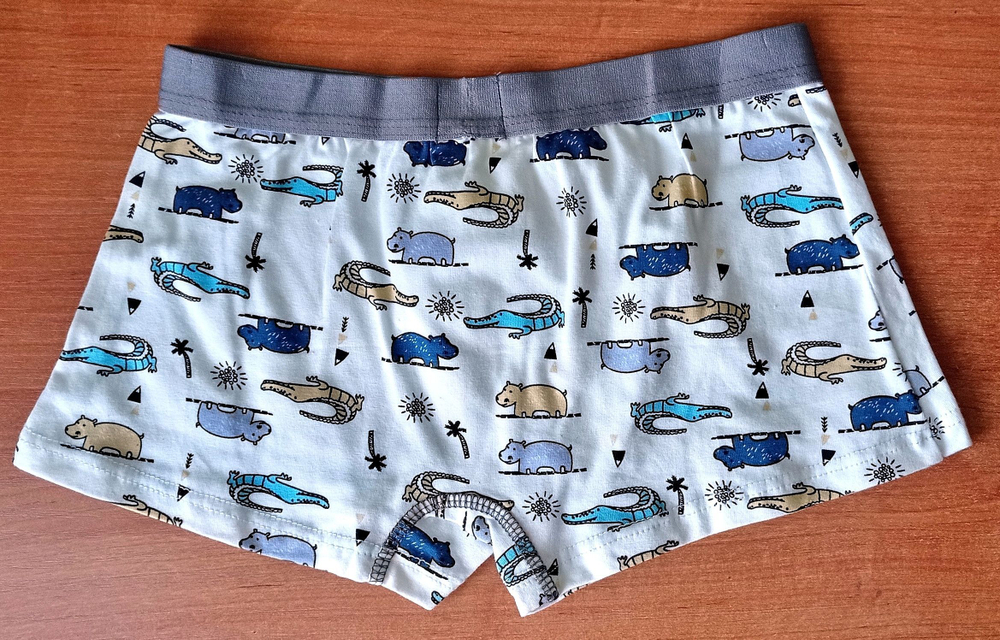 Трусы детские для мальчика 1 шт., хлопок, размер 2XL (рост 128-146), цвета голубой, светло-голубой, белый