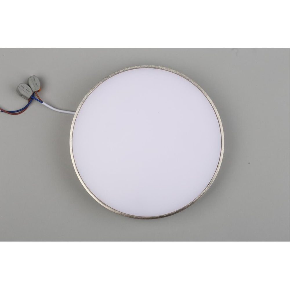 Потолочный светодиодный светильник Aployt Evon APL.0114.19.24