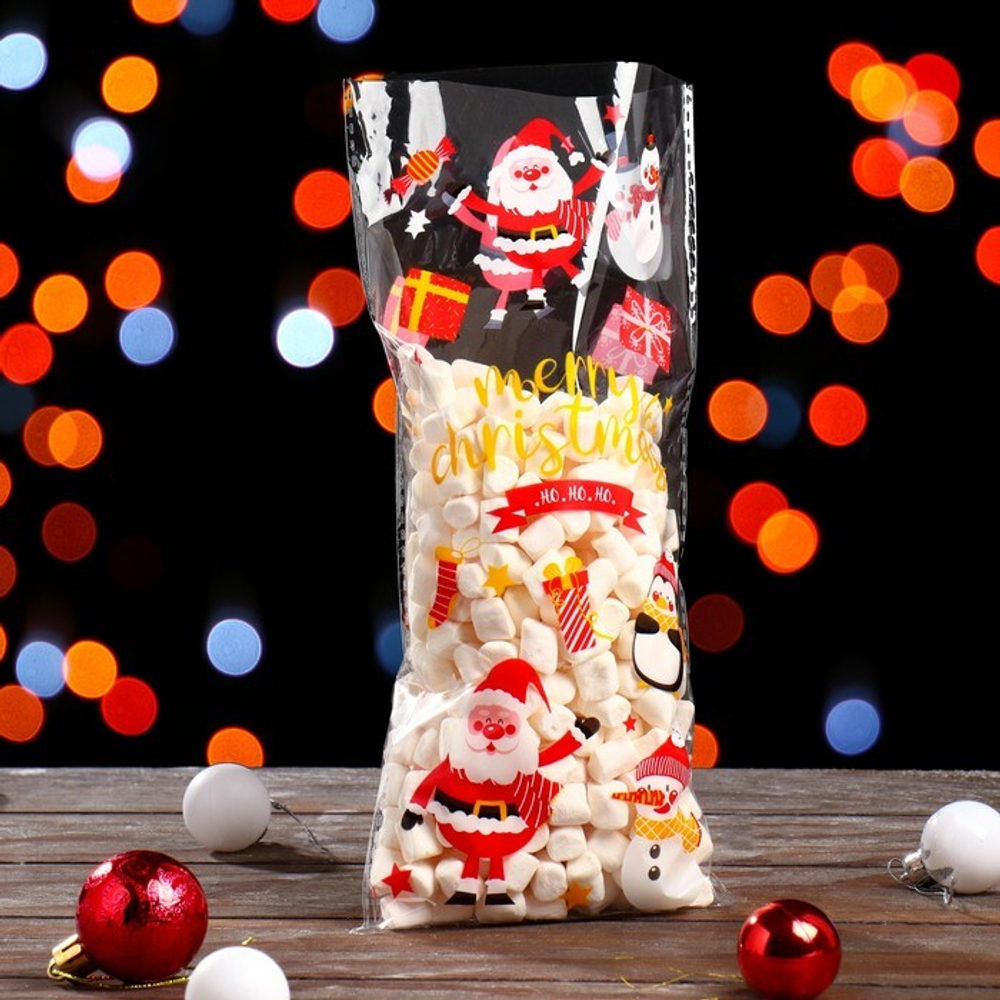 Новый год. Пакет подарочный, 13 х 27 см