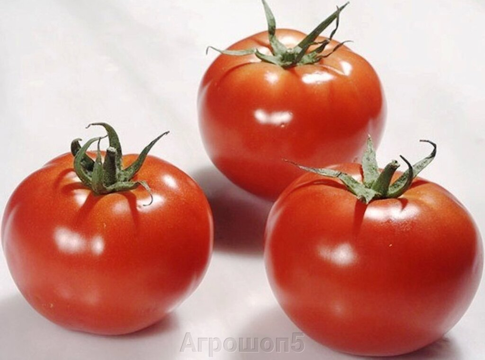 Томат Ралли F1 (50шт) Витагрин Профи