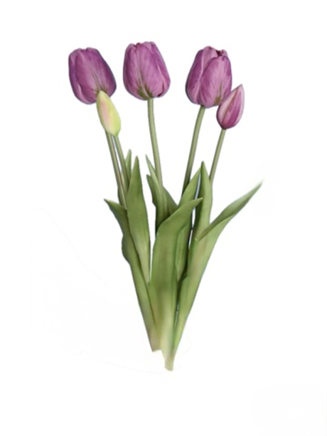 Букет поздних тюльпанов 3+2 - Светло-фиолетовый