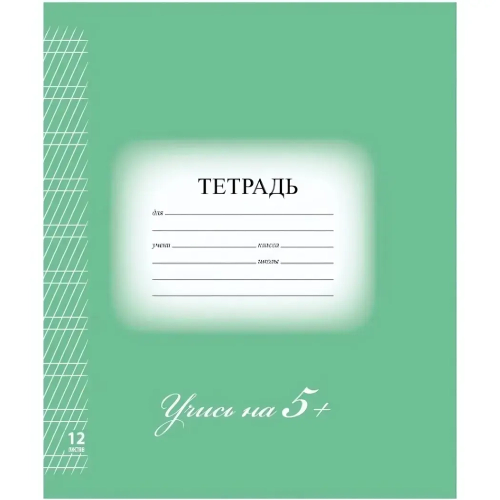 Тетрадь 12л. А5 косая линия Brauberg «5-ка» обложка мелованный картон ЗЕЛЕНАЯ (10/25)