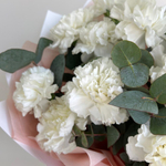 Премиум диантусы