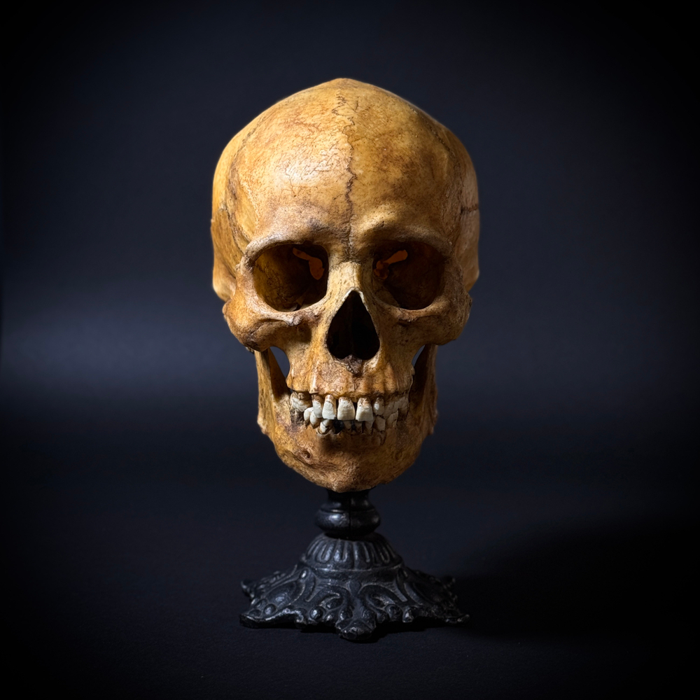 Статуэтка «Череп человека»
