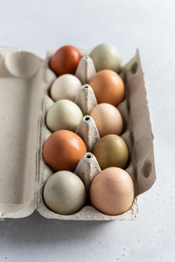 Яйцо куриное 10 шт