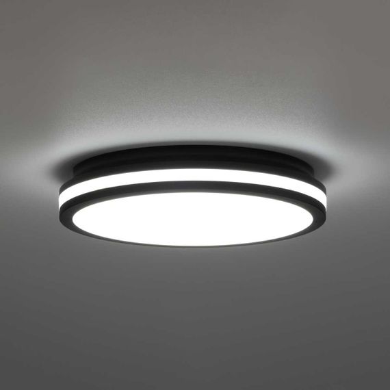 Светильник накладной Citilux LUNS CL711021V