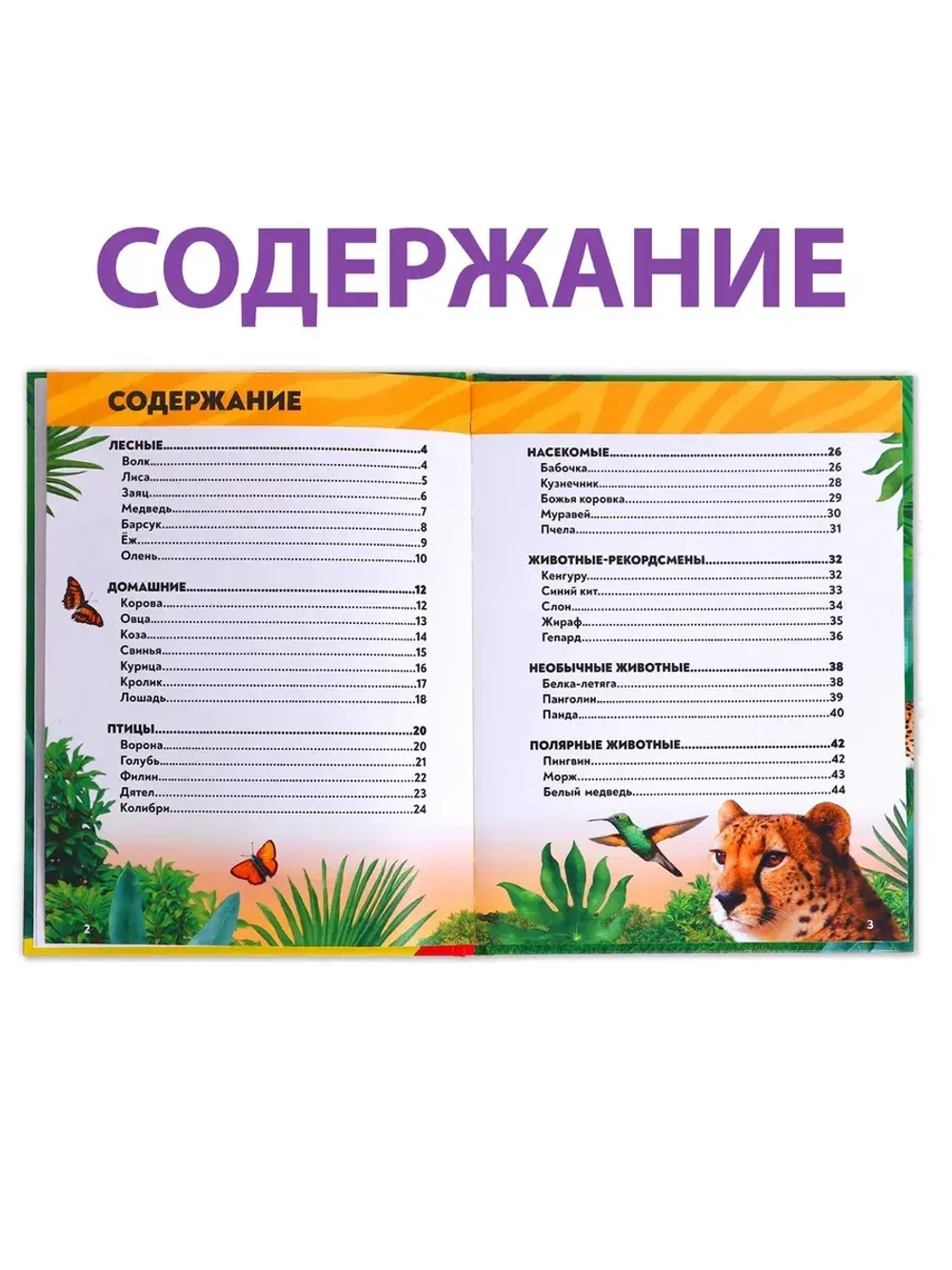 Энциклопедия В мире животных