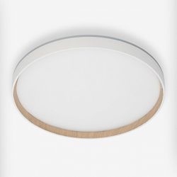 Накладной светильник Citilux ETALON CL750400R