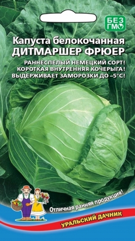 Капуста б/к "G. Дитмаршер Фрюер" 0,3г., Россия.