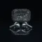 Apple AirPods Pro 2nd gen with MagSafe USB-C (2023) Swarovski Crystal Black