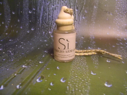 Автопарфюм Giorgio Armani Si 12 ml