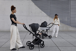 Детская коляска Anex Eli 2 в 1 New с рюкзаком No.5