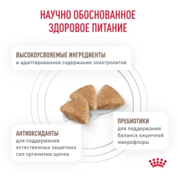 Royal canin gastrointestinal puppy сухой корм для щенков при расстройствах пищеварения - 1 кг