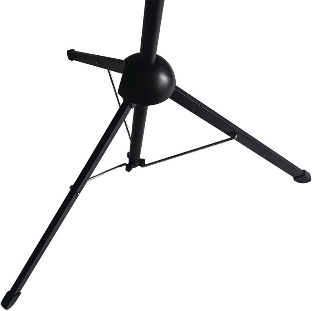 Экран  Cactus CS-PSTX-100X177