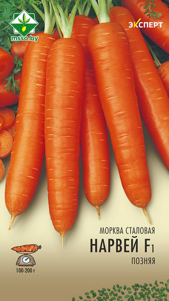 Морковь "Норвей F1" 0,3г, Нидерланды. Морковь "Норвей F1" 0,3г, Нидерланды.