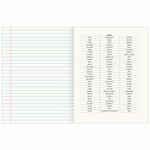 Тетрадь предметная со справочным материалом VISION 48 л., обложка картон, РУССКИЙ ЯЗЫК, линия, BRAUBERG, 404258