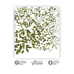 Deli pack yaşıl çay Grün Matinee