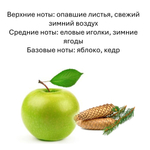 Яблоко и ель, кубики восковые для ароматизации, 10 штук