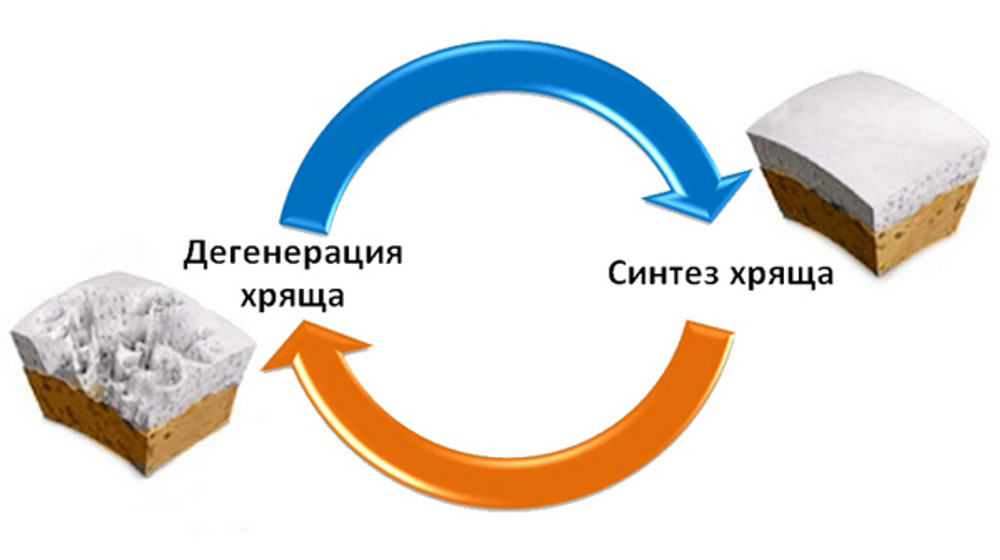 SUSTOMAX powder (MegaProtein)