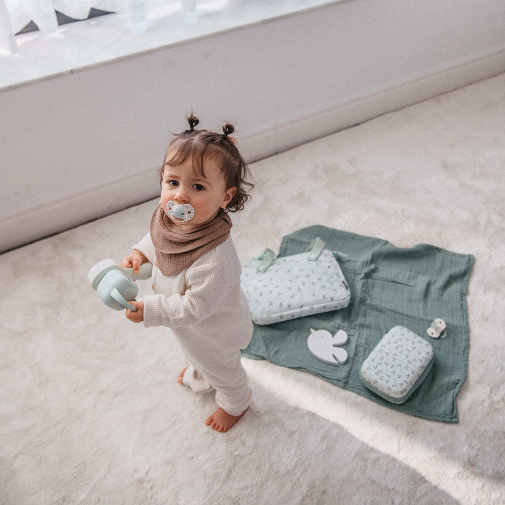 Футляр для пустышек Suavinex Birdies зеленый