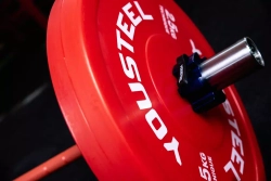 Диск технический пластиковый 2.5 кг, красный