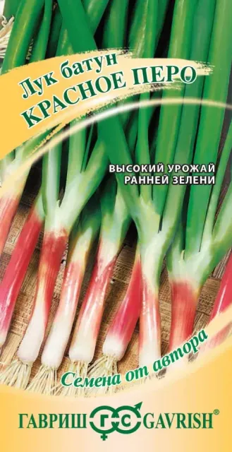 Лук