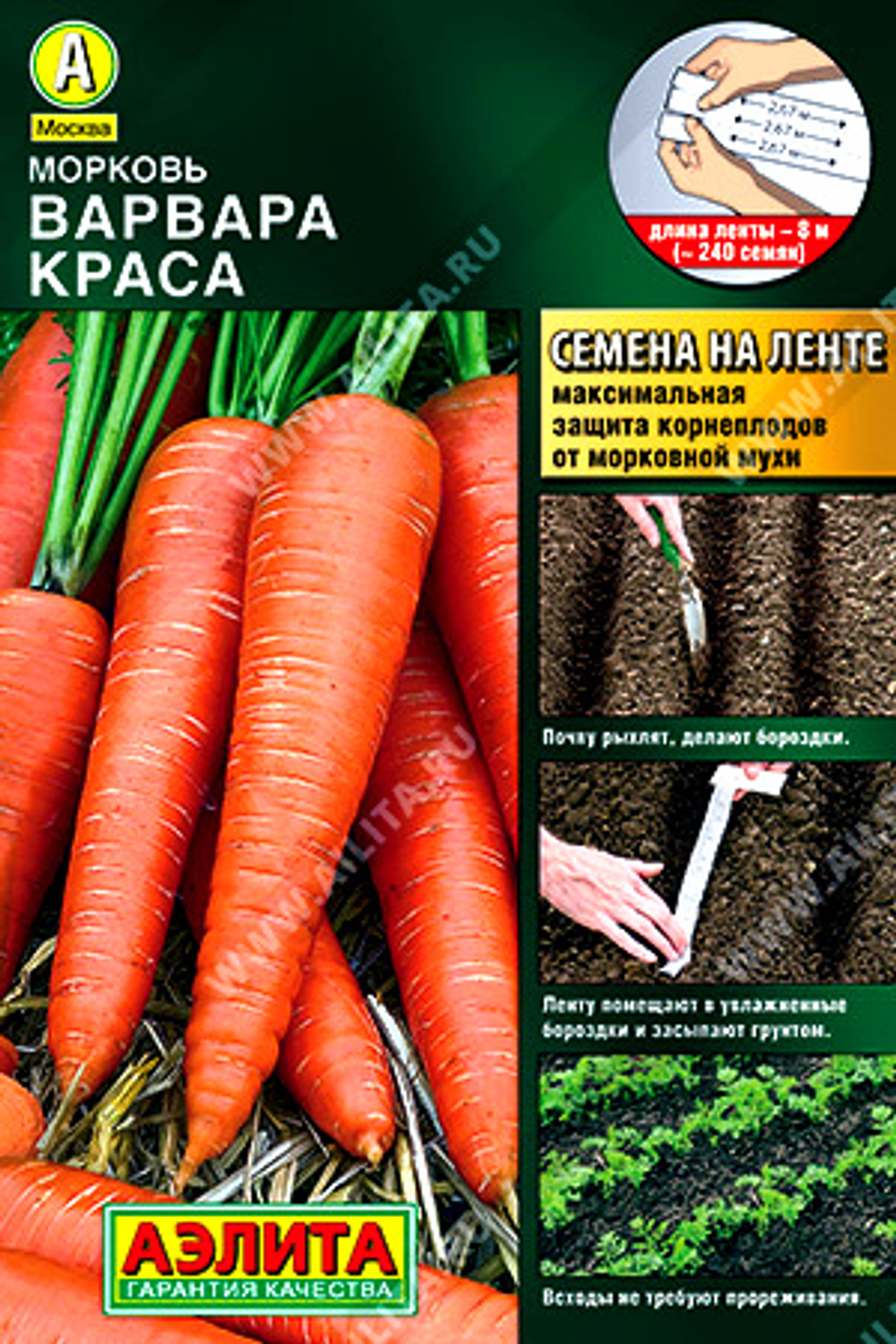 Морковь Варвара краса  (на ленте)