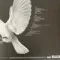 Melody Gardot – The Essential (White) 2LP
