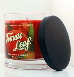 Great American Scents Tomato Leaf