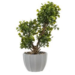 GAEM Цветочная композиция, L15 W9 H27 см