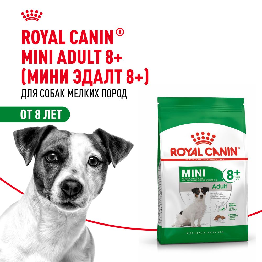 Сухой корм Royal Canin Mini Adult 8+ для взрослых собак небольших размеров (до 10 кг) старше 8 лет Сухой корм Royal Canin Mini Adult 8+ для взрослых собак небольших размеров (до 10 кг) старше 8 лет